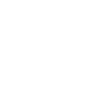 ISO/IEC 42001 — AI Management System