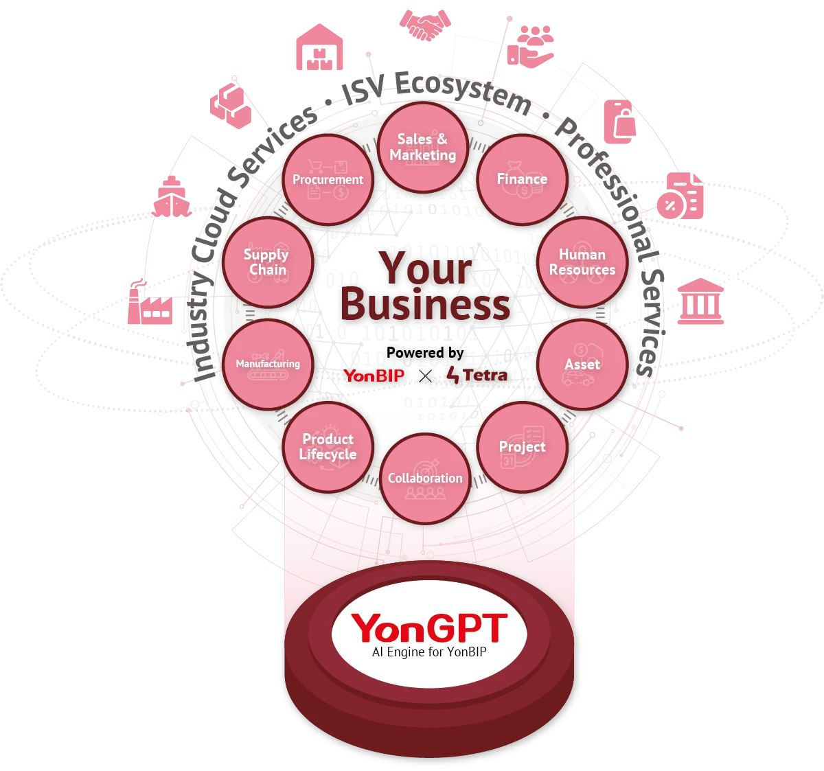 YonBIP x Tetra